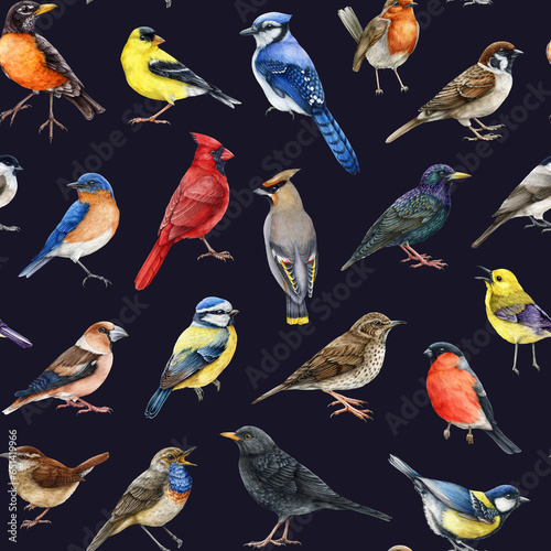 Backyard birds seamless pattern on dark background. Watercolor painted various backyard birds seamless pattern. Bluebird, starling, wren, blue jay, robin, warbler, red cardinal forest wildlife avians photo