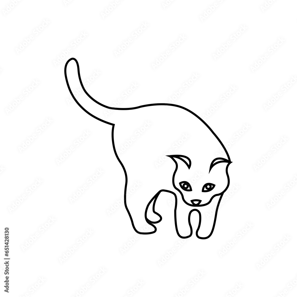 Cute and funny cat. Cute and funny cat.