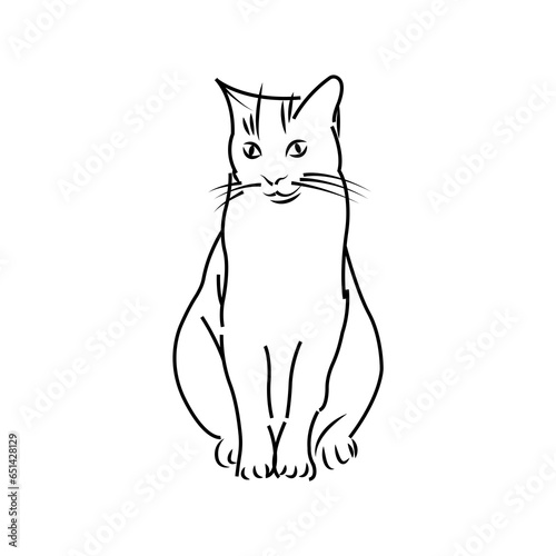 Cute and funny cat.