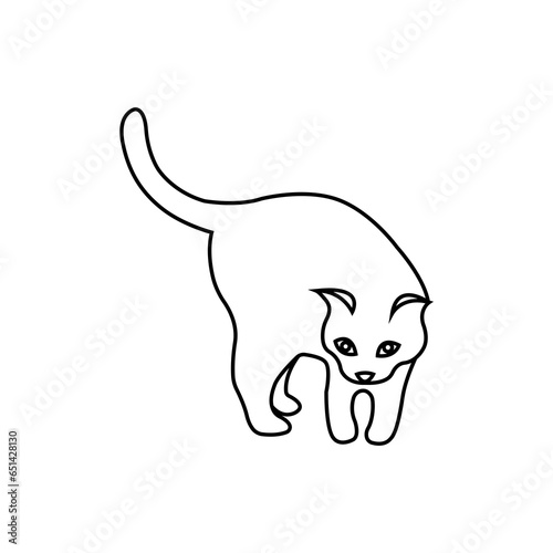 Cute and funny cat.