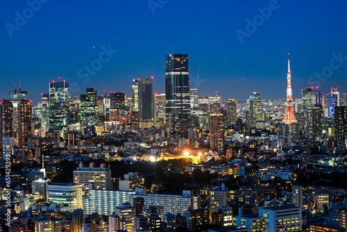 city skyline at night © 伸勝 那須