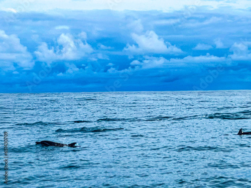 Wallpaper Mural iceberg in polar regions Torontodigital.ca