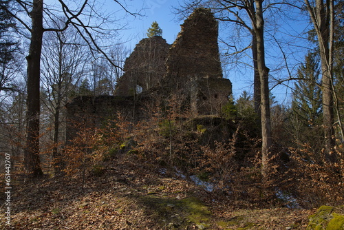 Pajrek Castle ruin at Nyrsko, Czech republic, Europe 