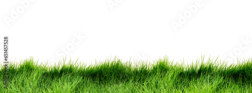 Green grass isolate banner with white background. bright green meadow with copy space for text.