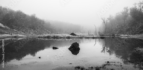 Obraz na płótnie Water mirror reflecting forest in foggy weather. black and white w salonie