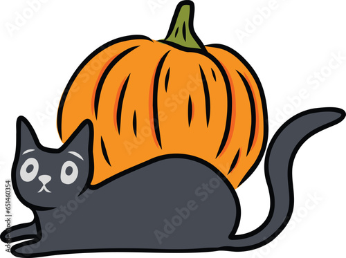 Cat Laying in Front of Pumpkin