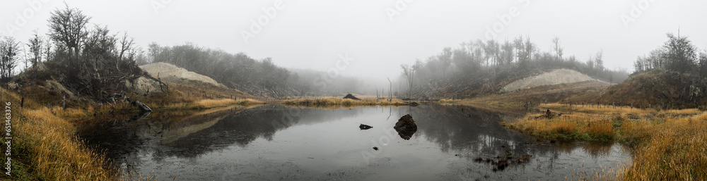 Water mirror reflecting forest in foggy weather.