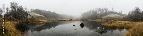 Water mirror reflecting forest in foggy weather.