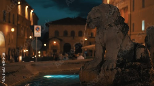 Assisi fontana della piazza del comune, visione notturna