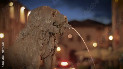 Assisi fontana della piazza del comune, visione notturna