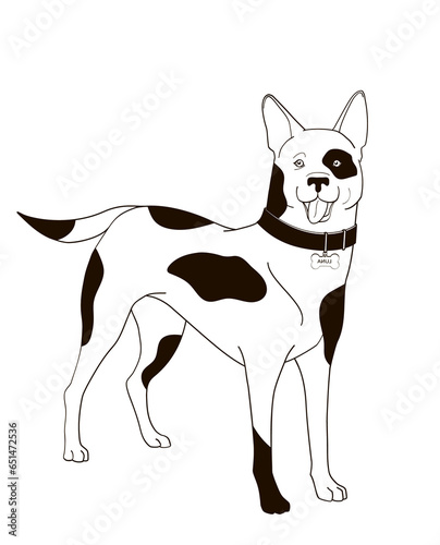 standing  dog with dog-collar