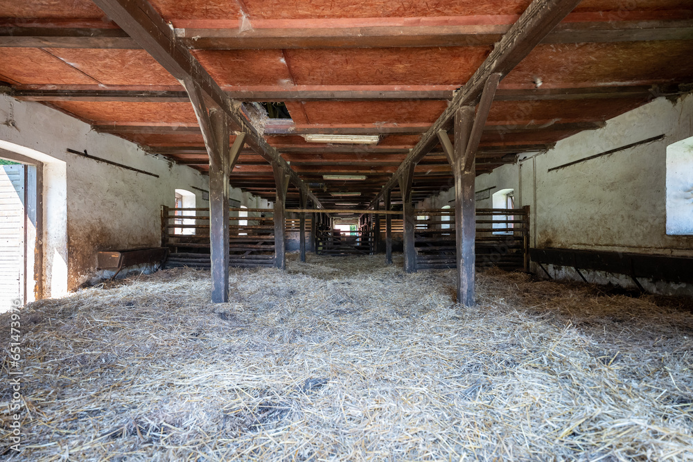 Interior of stable in horse breeding. Clean hay lying down on the floor. Drinker and stalls for horses in the background. Wide viewing angle.