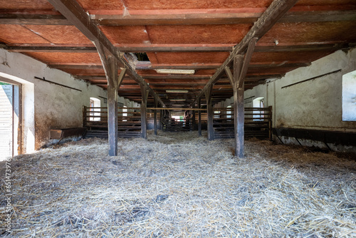Interior of stable in horse breeding. Clean hay lying down on the floor. Drinker and stalls for horses in the background. Wide viewing angle.