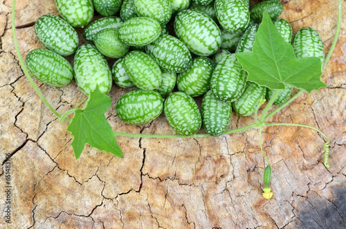 Small green Melotria scabra fruits on a wooden background with copy space. Organic products. photo