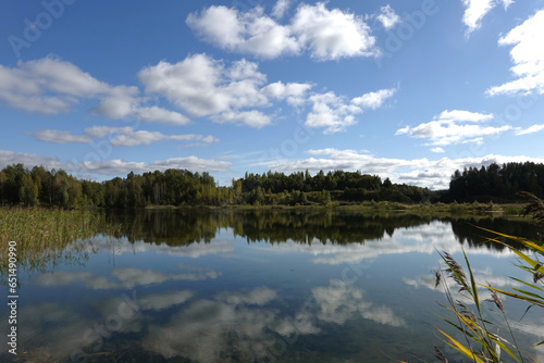 Beautiful rural summer landscape with calm lake with backwater and birch forest after it under blue sky with soft clouds reflection in water