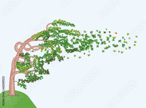 Big tree standing on a high place bent under wind with its leaves falling into the air. Vector illustration isolated on white background.