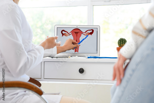 Female gynecologist showing...