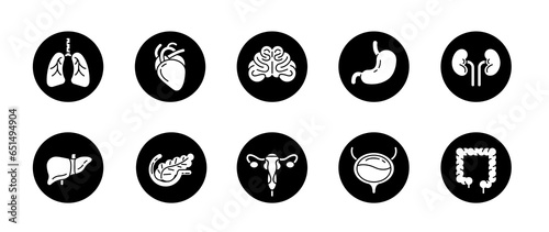 Human internal organ  icon set on black circle shape. Lung and heart, brain and stomach, kidneys and liver, uterus and pancreas, bladder and large intestine