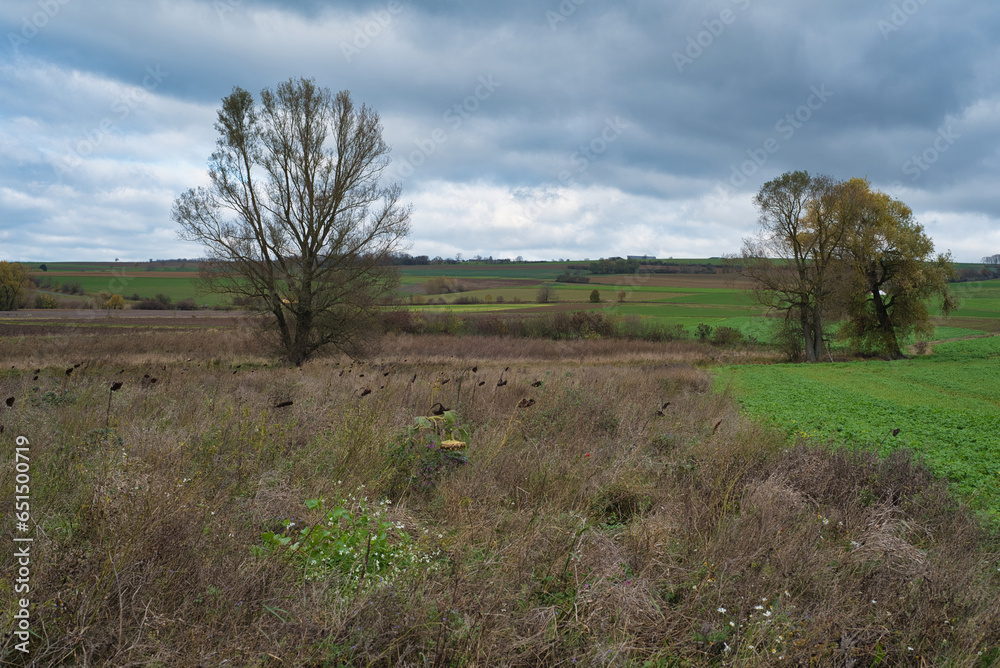 Landschaft mit herbstlichen Feldern und Wiesen