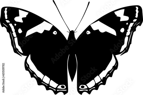 Admiral Butterfly icon