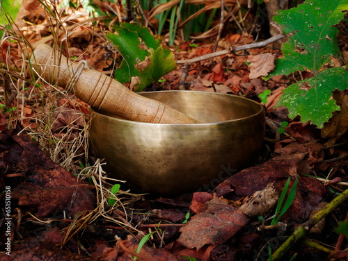 Singing bowl on the ground in nature