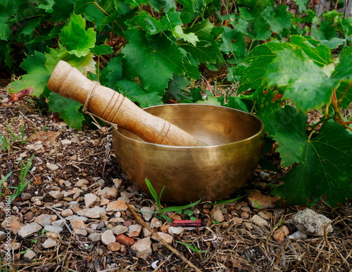 Singing bowl on the ground in nature with vine leaves in the background