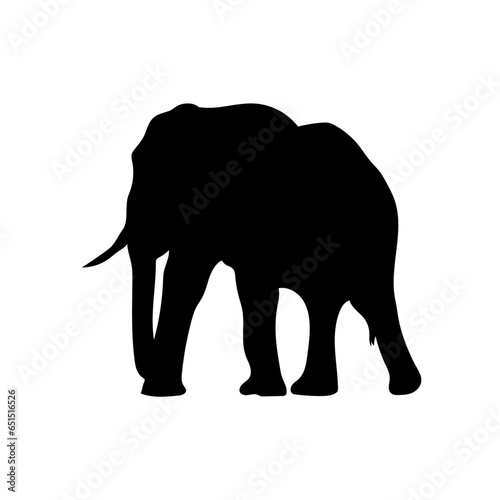Elephant vector png