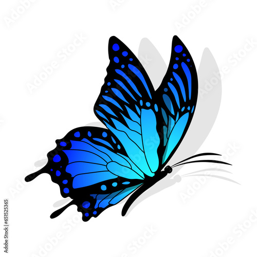 Butterfly blue side view silhouette Monarch Butterfly design hand drawn vector illustration
