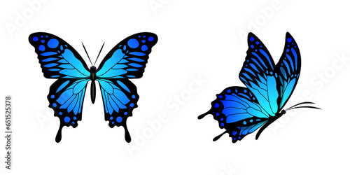 Butterfly blue Set silhouette fly side view Monarch Butterfly design hand drawn vector illustration