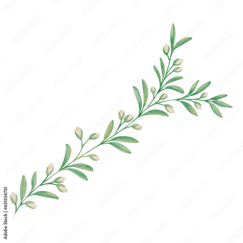 Fototapeta premium Watercolor Illustration of Branch of Rosemary