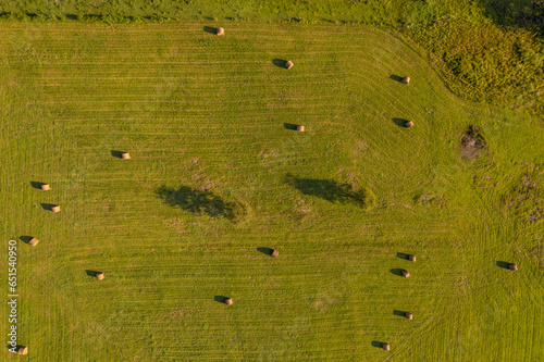 Round golden hay bales in meadow with trees and shadows aerial drone view