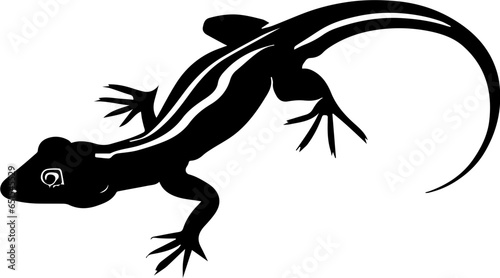 Draco Volans Lizard icon 5 © Luqman