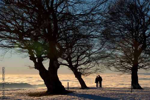 silhouette of a person walking in the snow
