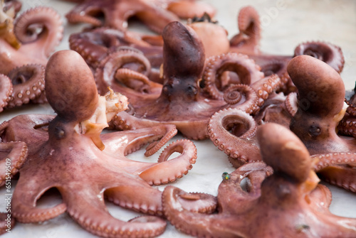 octopus on the market