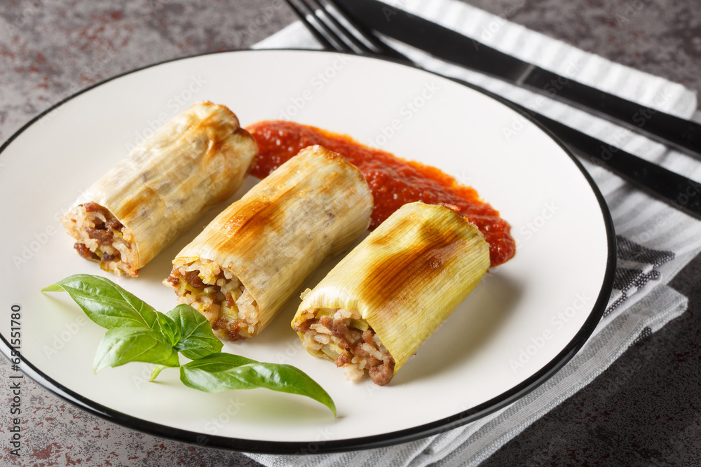 Baked leek tubes stuffed with minced meat, rice, cheese and vegetables served with tomato sauce close-up in a plate on the table. Horizontal
