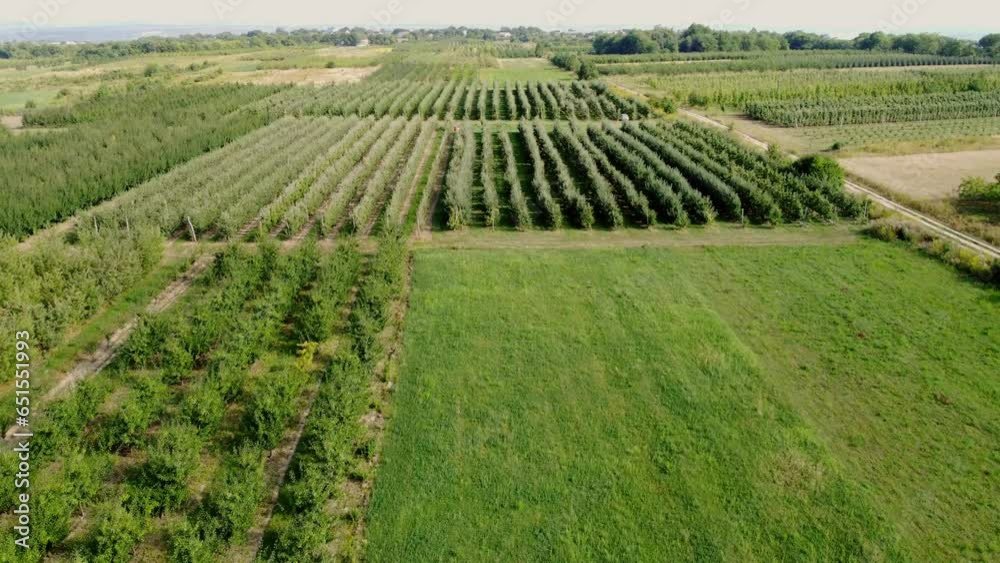 General view of a small fruit farm in the countryside on a sunny summer day. Beautiful footage from a drone in picturesque Bukovina. General view of a small fruit farm in the countryside on a sunny summer day. Beautiful footage from a drone in picturesque Bukovina.