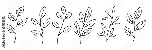 Vector set leaves element, with line art style