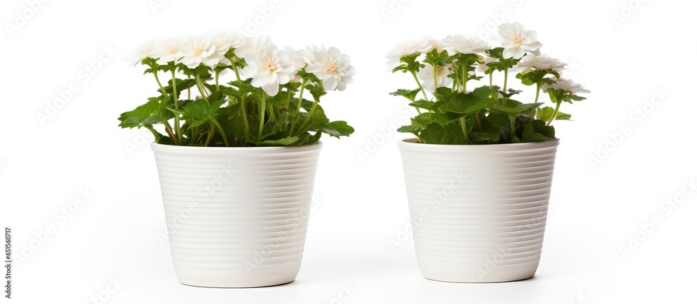 Empty white plastic flower pot isolated on a white background Empty white plastic flower pot isolated on a white background