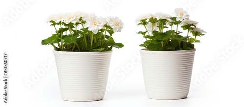 Empty white plastic flower pot isolated on a white background