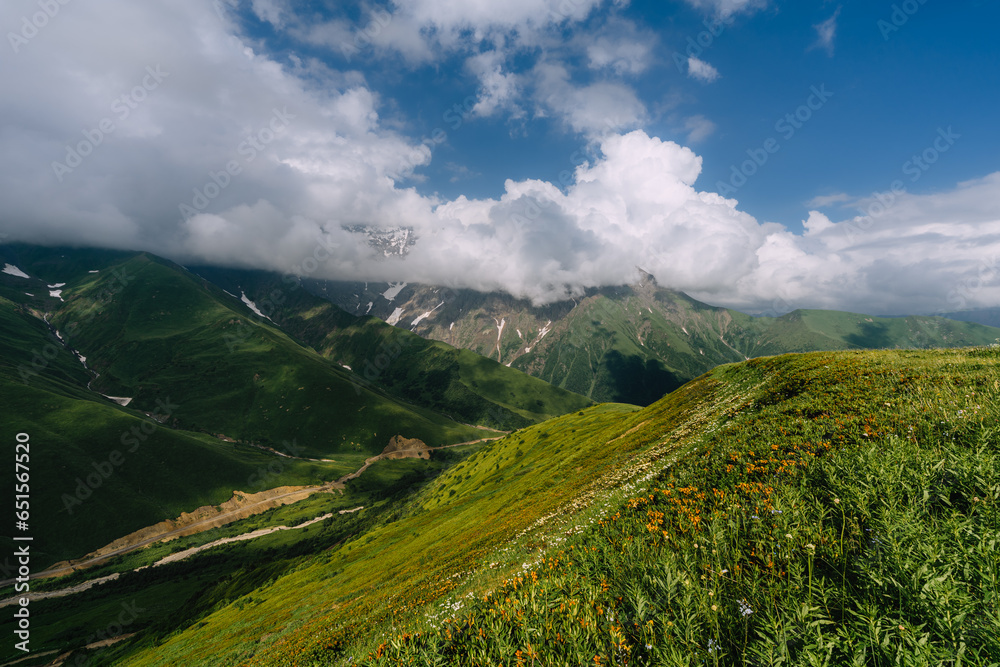 Amazing mountain landscape of Georgia on a summer day. Alpine green meadow in the Caucasian Highlands. An idyllic valley in the Svaneti mountains.
