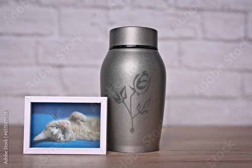 Photography In remembrance of a pet