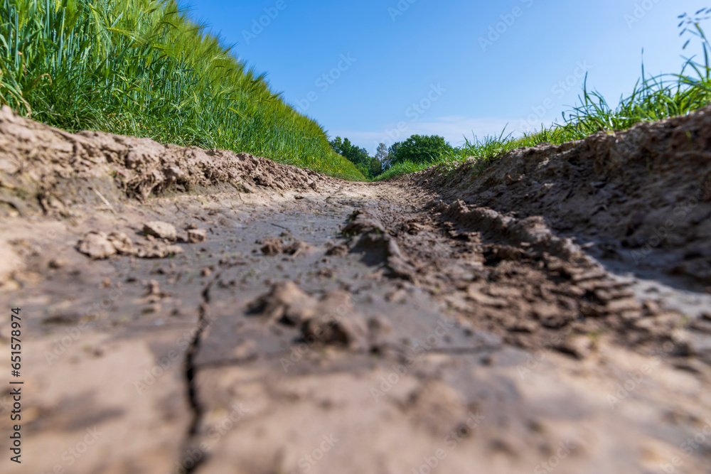 mud on a country road through a field of cereals mud on a country road through a field of cereals