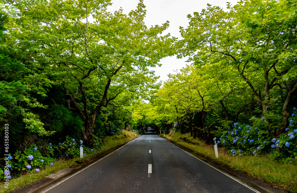 Obraz premium Estrada na ilha Terceira nos Açores