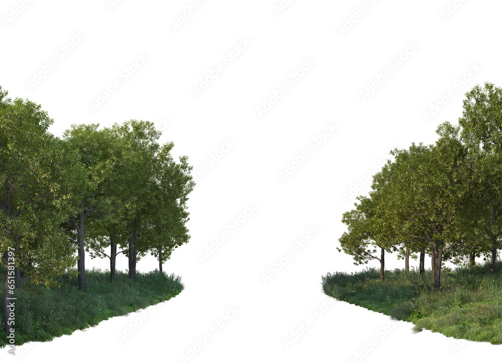 Obraz premium Forest with many trees and plants on transparent background