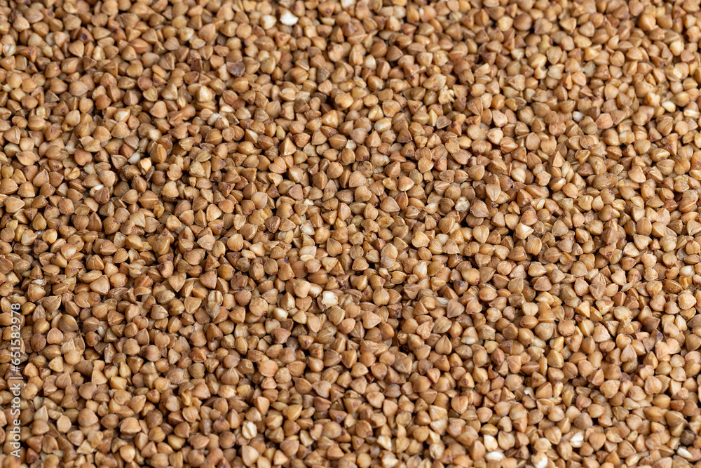A large amount of roasted buckwheat harvest A large amount of roasted buckwheat harvest