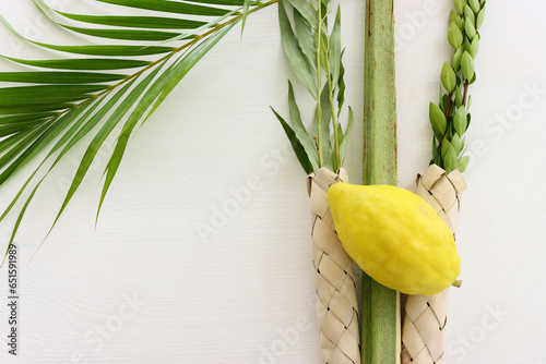 Jewish festival of Sukkot. Traditional symbols (The four species): Etrog (citron), lulav (palm branch), hadas (myrtle), arava (willow)