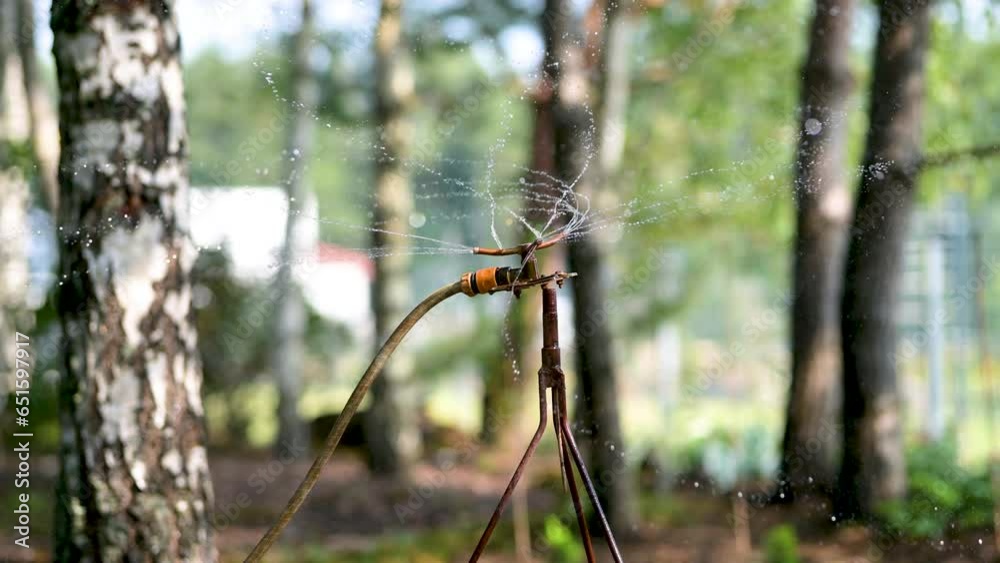 Close-up view of garden sprinkler watering a lawn on a sunny summer day