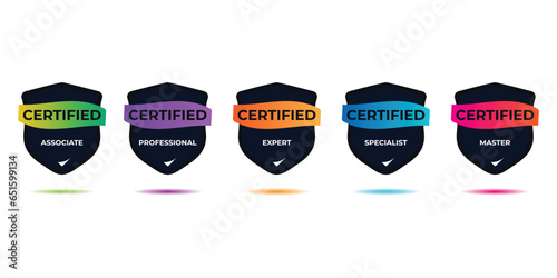 Set of company training badge certificates to determine based on criteria. certified shield badge, lavel, flat vector, game certification icon template. achievement design icon. 