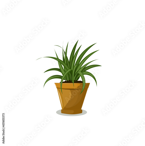 Home plants vector illustration. Decorative houseplants. houseplants growing in flower pot. 