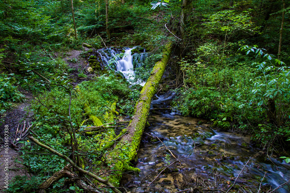 Small waterfall in the woods